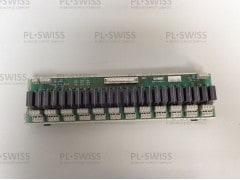 263202931